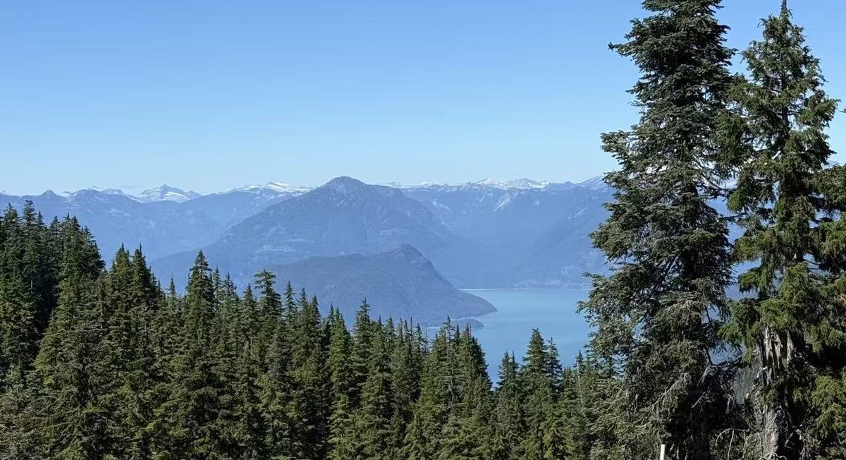 Mountains and forest above the water, seen from a ridge near Vancouver, British Columbia